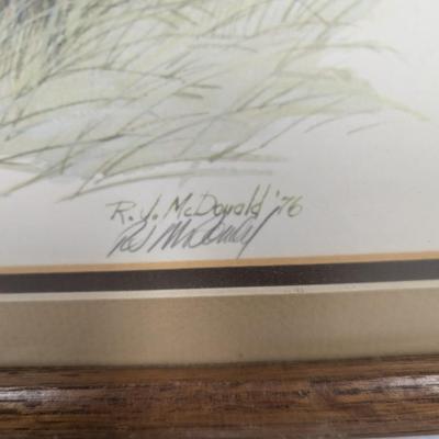R. J. McDonald "Spring White Tail Deer Fawn" Signed