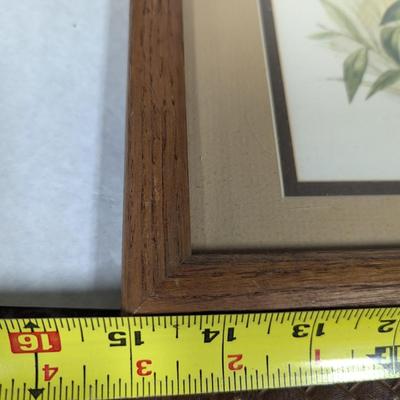 R. J. McDonald "Spring White Tail Deer Fawn" Signed