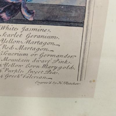Framed Still Life Engraving by Henry Fletcher