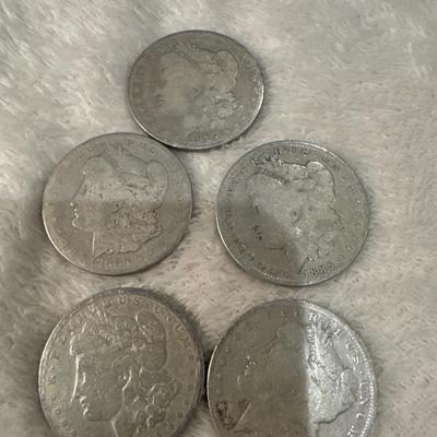 Lot of 5 Morgan’s US COIN