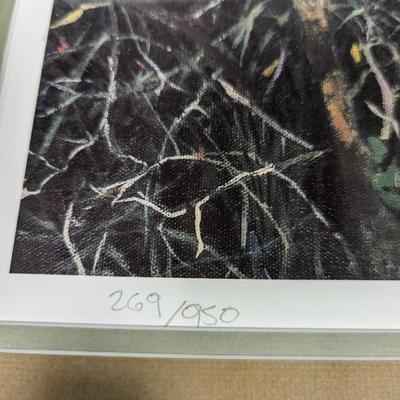 Framed Art Numbered & Signed R. Wells