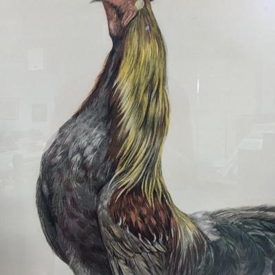Leon Danchin Signed & Numbered Rooster Etching