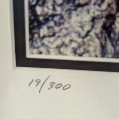 Framed Print "Tumbling Creek" Numbered & Signed By William Bell