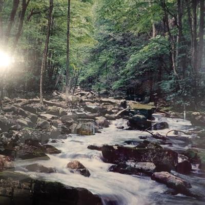 Framed Print "Tumbling Creek" Numbered & Signed By William Bell