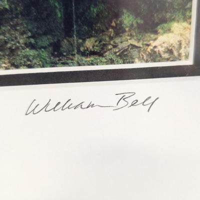 Framed Print "Mossy Falls" Numbered & Signed By William Bell