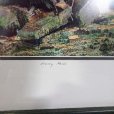 Framed Print "Mossy Falls" Numbered & Signed By William Bell