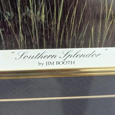 Framed "Southern Splendor" Numbered & Signed By Jim Booth