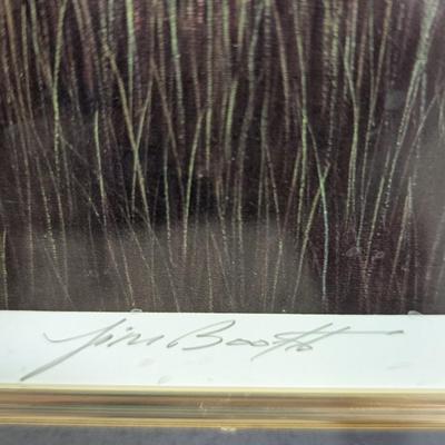 Framed "Southern Splendor" Numbered & Signed By Jim Booth