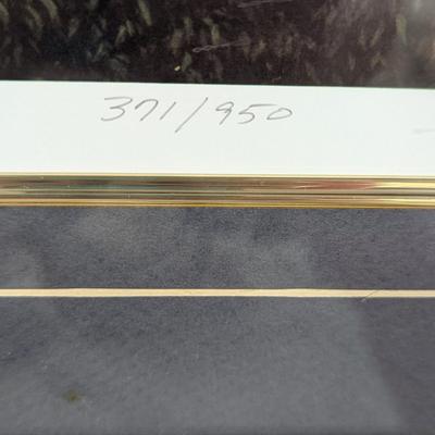 Framed "Southern Splendor" Numbered & Signed By Jim Booth