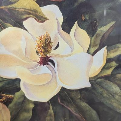 Framed Barbra Shipman Magnolia Blooming Print