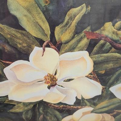 Framed Barbra Shipman Magnolia Blooming Print