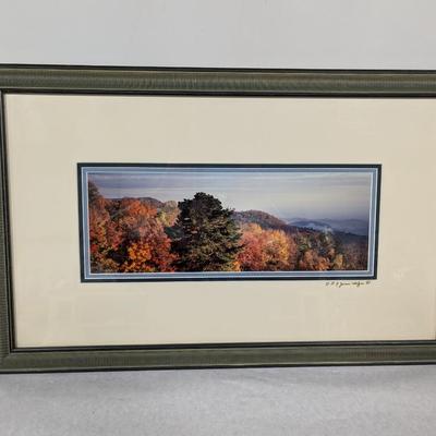 Framed Print Landscape Art Signed