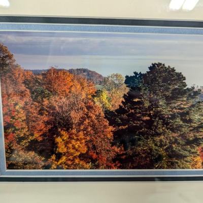 Framed Print Landscape Art Signed