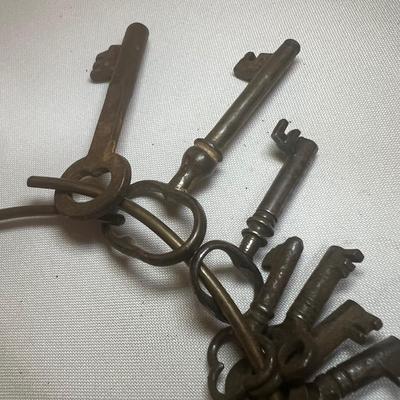 Collection of Skeleton Keys (LR-RG)