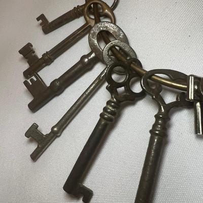 Collection of Skeleton Keys (LR-RG)