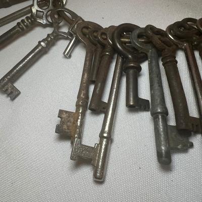 Collection of Skeleton Keys (LR-RG)