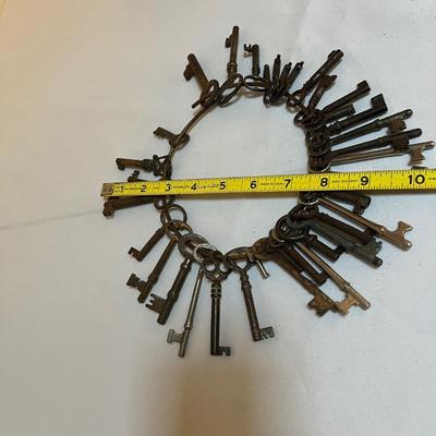 Collection of Skeleton Keys (LR-RG)