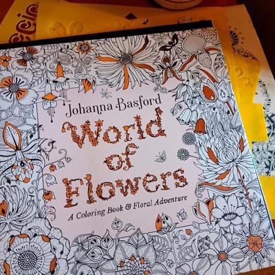 ADULT COLORING BOOKS AND STENCILS