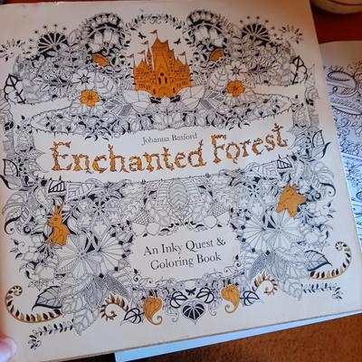 ADULT COLORING BOOKS AND STENCILS