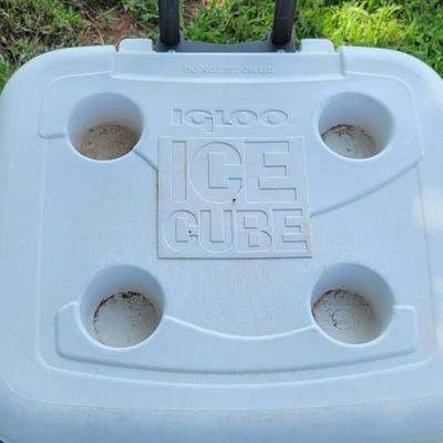 Igloo ice cube