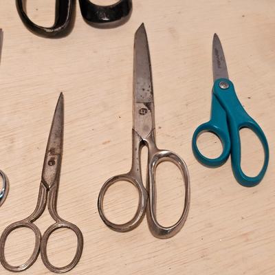 Assorted Scissors & Shears (G-JS)