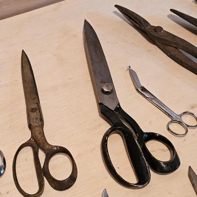 Assorted Scissors & Shears (G-JS)