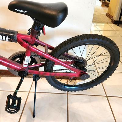 Lot #81 Next WIPE OUT youth bike