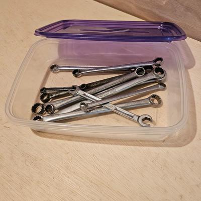 Collection of Box End Wrenches (G-JS)