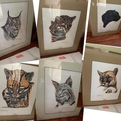 GUY COHELEACHE SIGNED CAT PRINT LOT