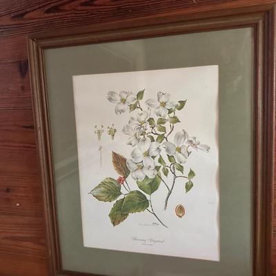 FRAMED ART LOT