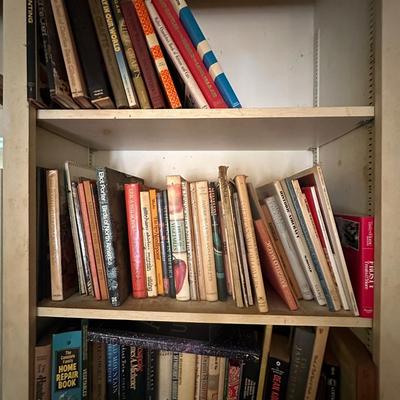 CONTENTS OF BOOKSHELF HUGE BOOK LOT