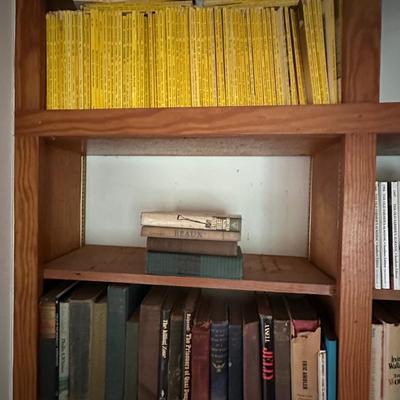 CONTENTS OF BOOKSHELF HUGE BOOK LOT