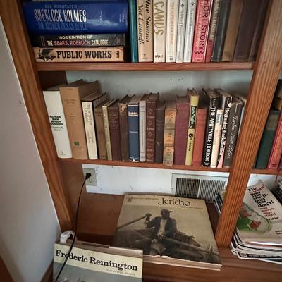 CONTENTS OF BOOKSHELF HUGE BOOK LOT