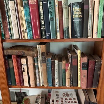 CONTENTS OF BOOKSHELF HUGE BOOK LOT
