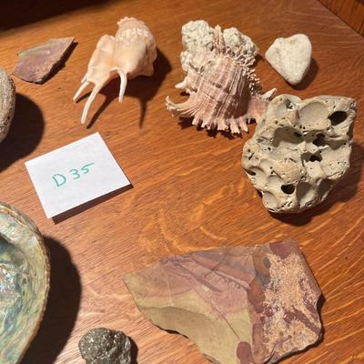 D35-Stones, shells and more!!