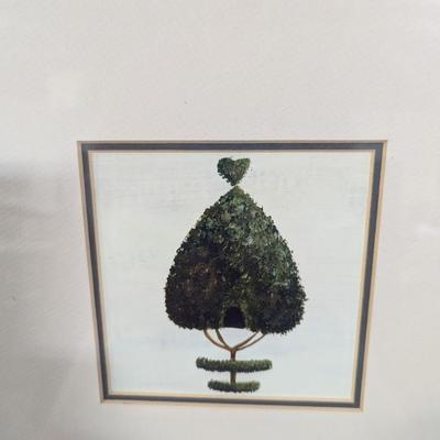 Vintage Tree Prints