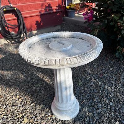 Bird Bath