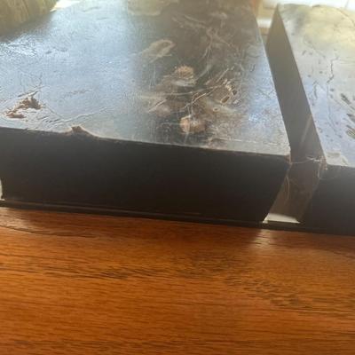 Araucaria Petrified Wood  (Set of 3)