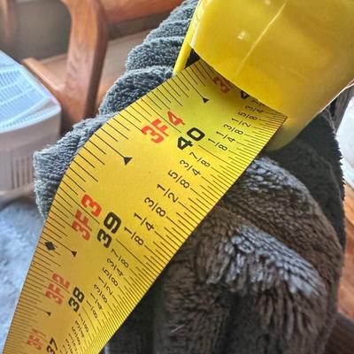 Blue Chair (Set of 2)