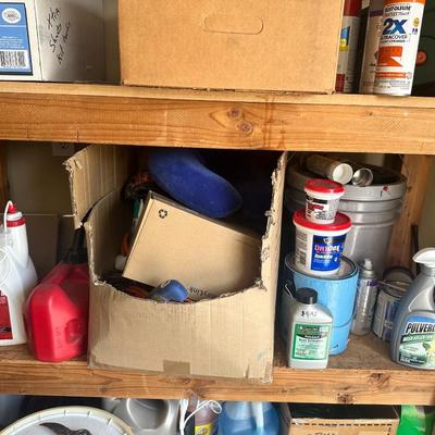 Lot of chemicals / cleaning supplies