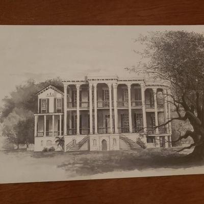 Vintage Louisiana Postcards