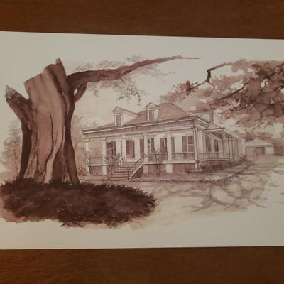Vintage Louisiana Postcards
