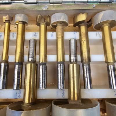 Assortment of Forstner Bits (WS-JS)