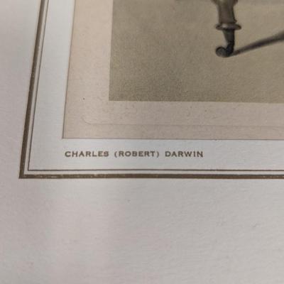 Vintage Charles (Robert) Darwin Lithograph