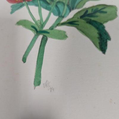 Framed Floral Painting Signed By The Artist