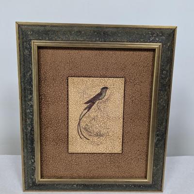 Trochilus Rolytmus Black-Capped Humming Bird Art