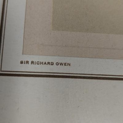 Sir Richard Owen Lithographs