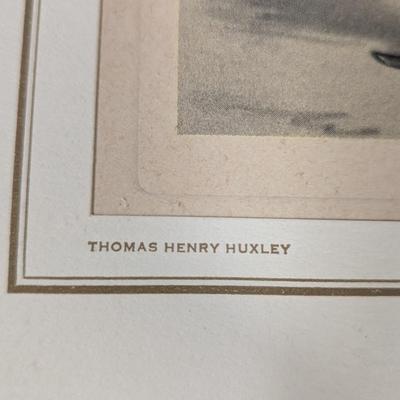 Vintage Thomas Henry Huxley Lithograph Signed