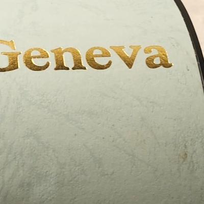 Jewelry lot including Some Vintage Jewelry including geneva quartz watch
