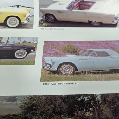 Vintage Thunderbird Poster